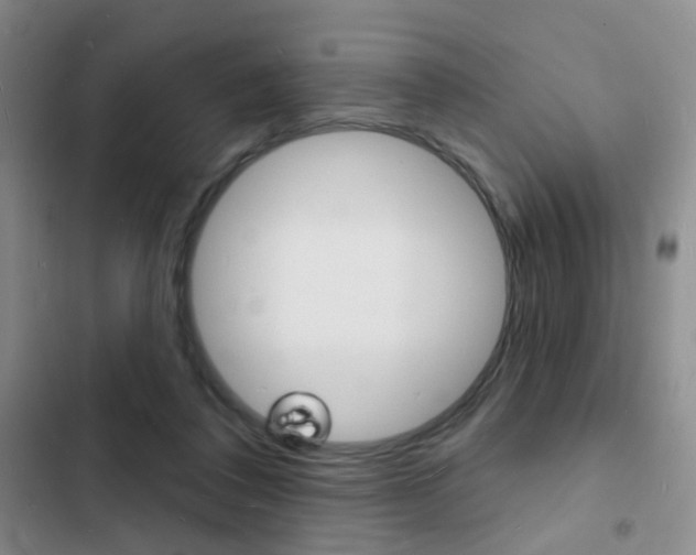 X0000103240308200808281039