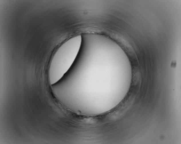 X0000103240310200808281039