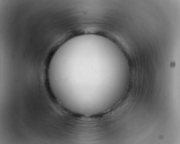 X0000103240311200808281039
