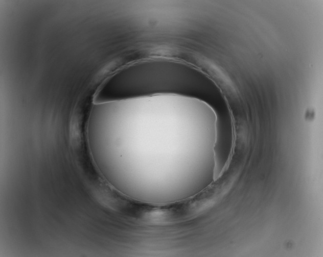 X0000103240312200808281039