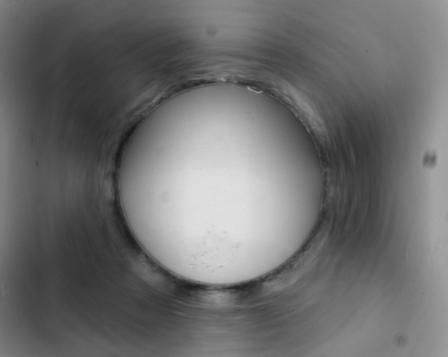 X0000103240313200808281039