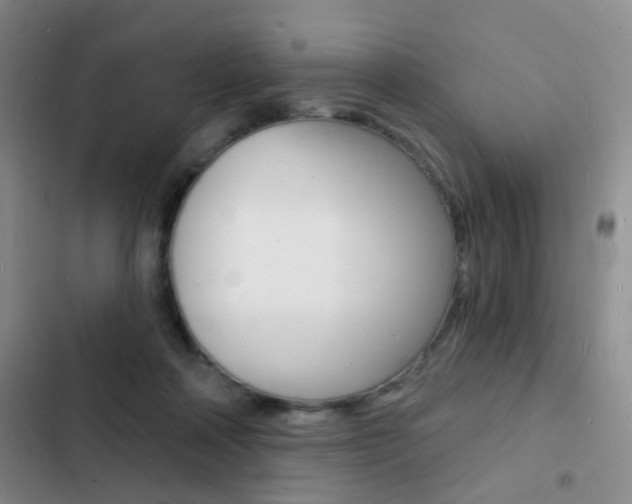 X0000103240314200808281039