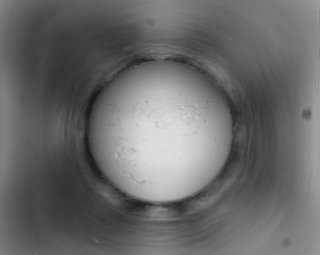 X0000103240315200808281039