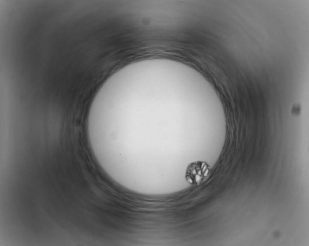 X0000103240316200808281039