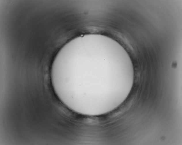 X0000103240317200808281039