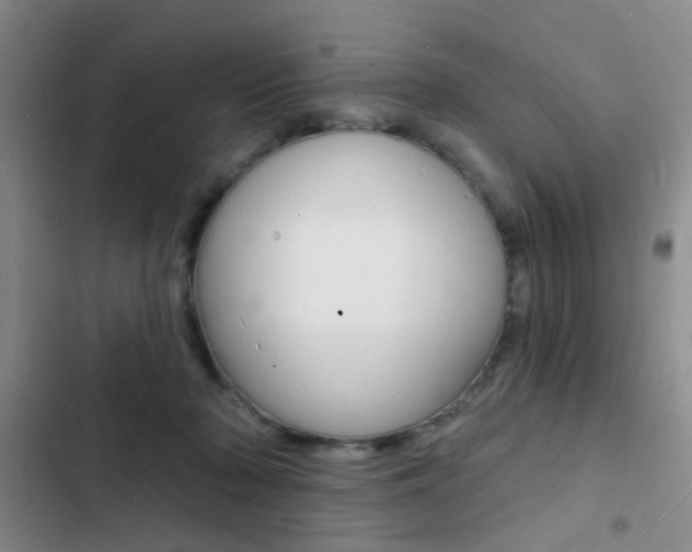 X0000103240318200808281039