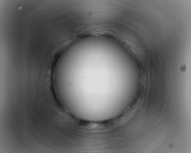 X0000103240319200808281039