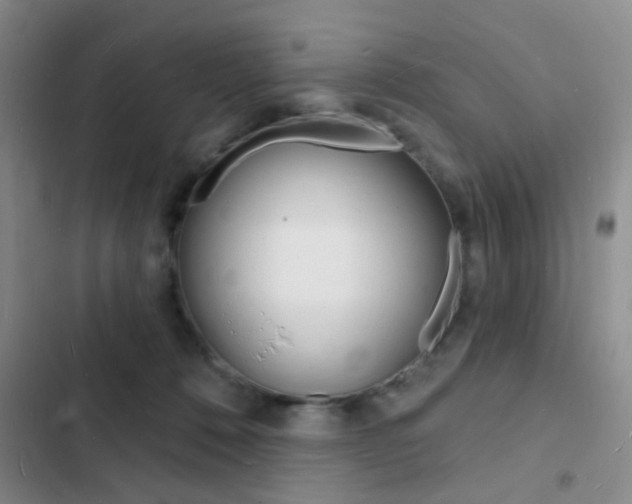 X0000103240320200808281039