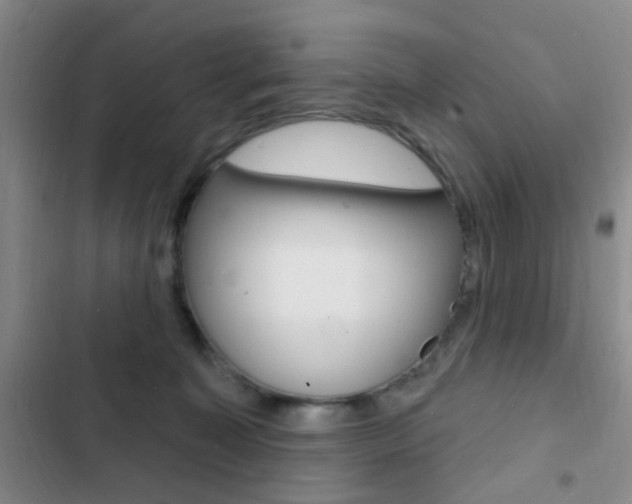 X0000103240323200808281039