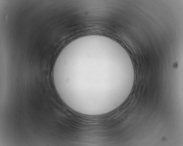 X0000103240324200808281039