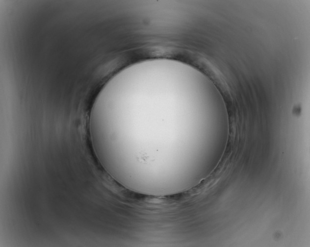 X0000103240325200808281039