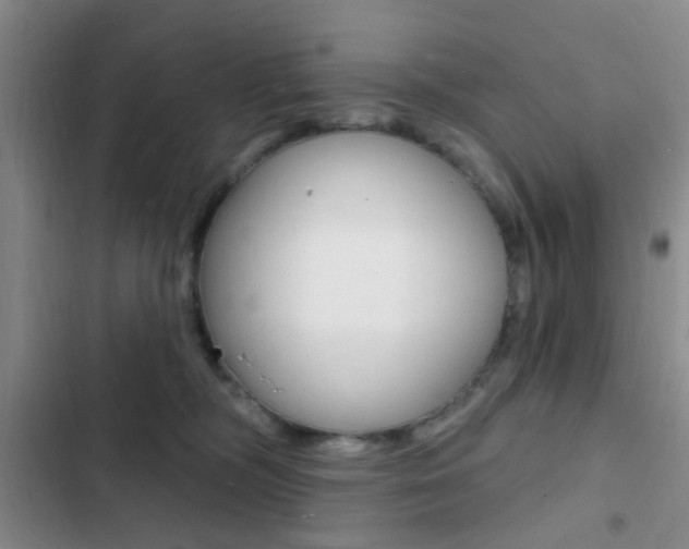 X0000103240326200808281039