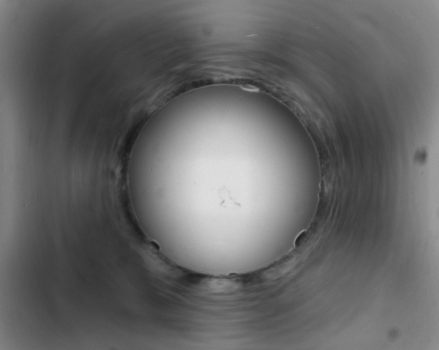 X0000103240327200808281039