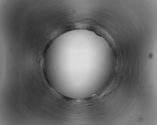 X0000103240329200808281039