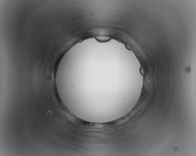 X0000103240330200808281039