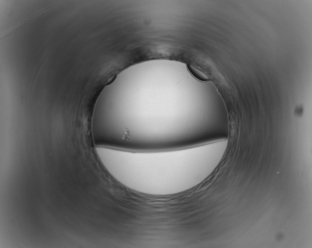 X0000103240331200808281039