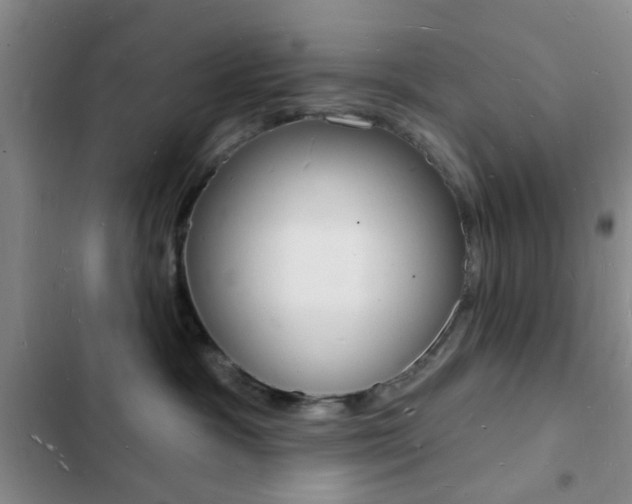 X0000103240333200808281039