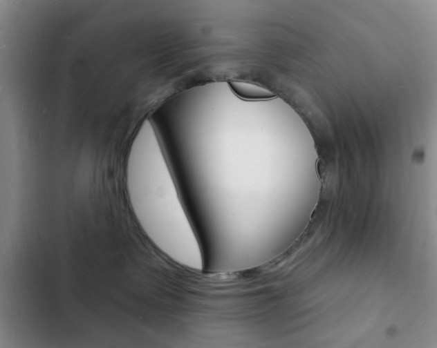 X0000103240335200808281039