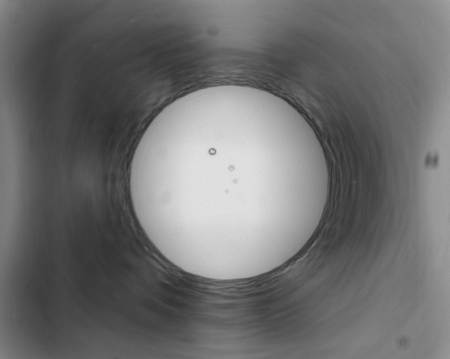 X0000103240336200808281039