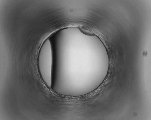 X0000103240337200808281038
