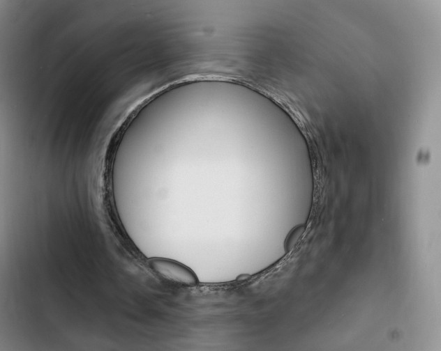 X0000103240338200808281038