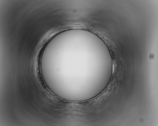 X0000103240339200808281038