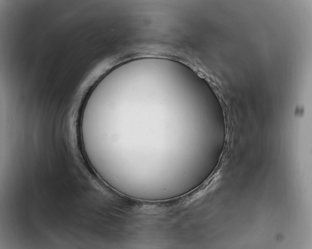 X0000103240341200808281038