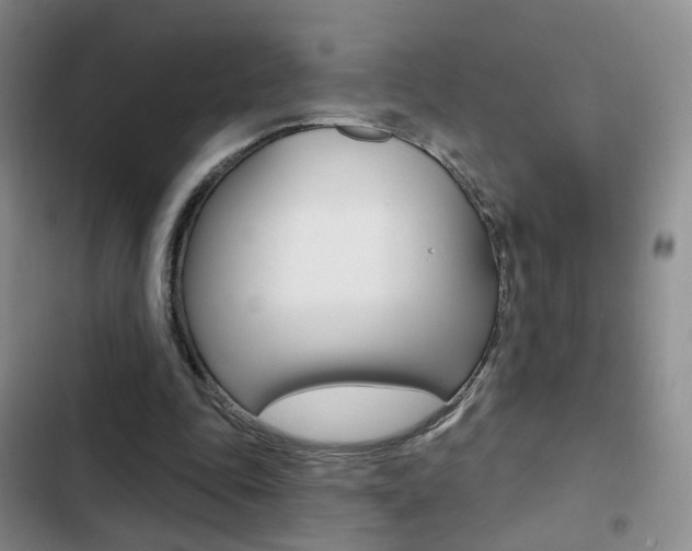 X0000103240343200808281038