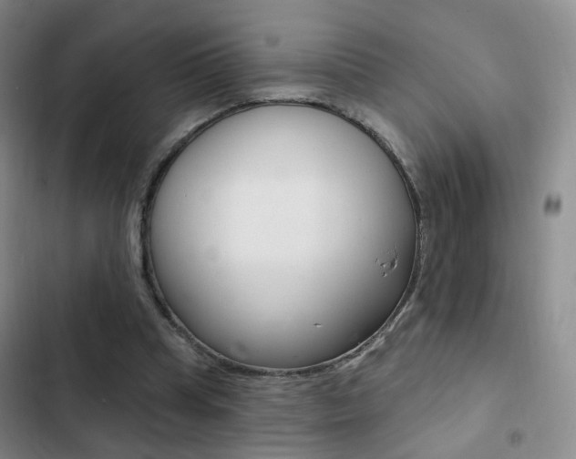 X0000103240345200808281038