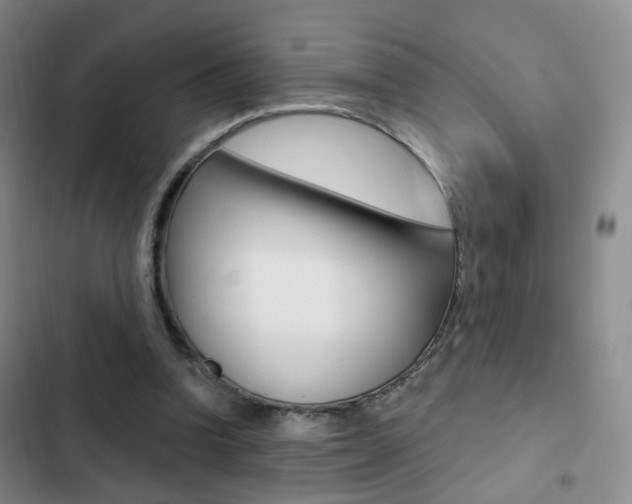 X0000103240346200808281038