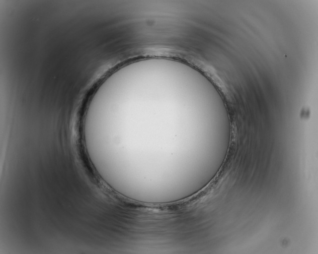 X0000103240347200808281038