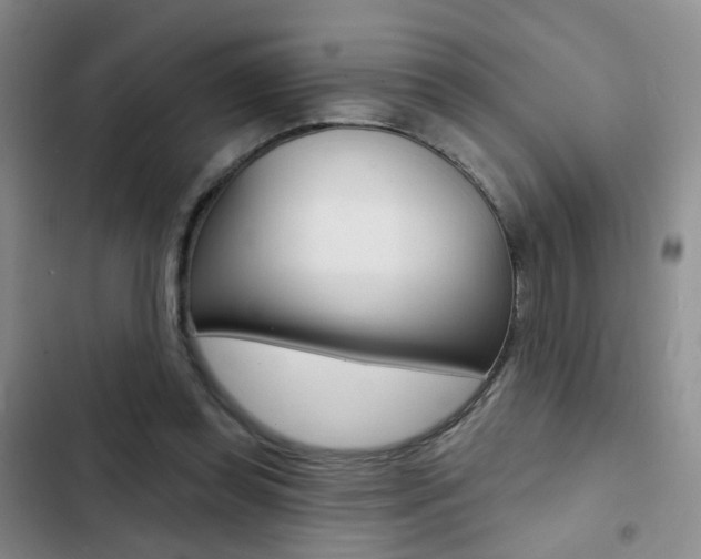 X0000103240349200808281038