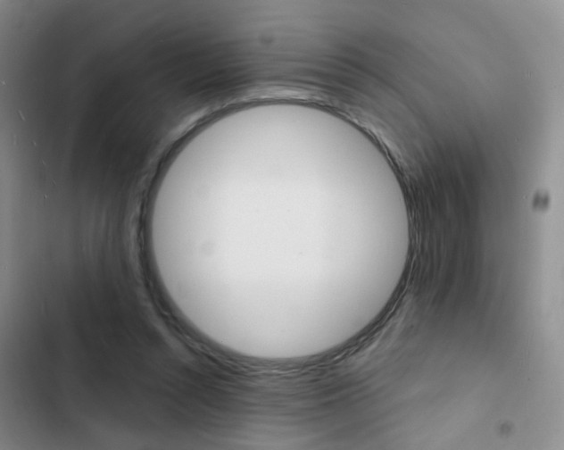X0000103240352200808281039