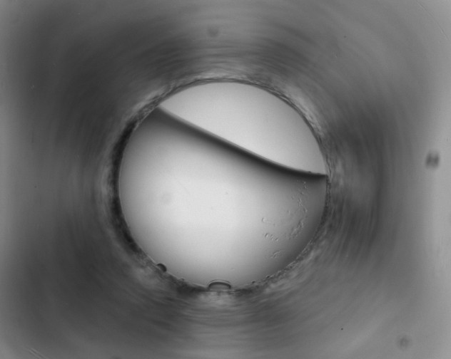 X0000103240354200808281039