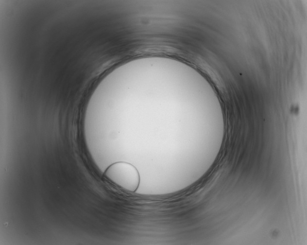 X0000103240356200808281039