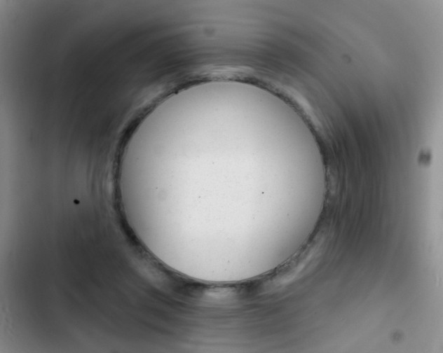 X0000103240357200808281039