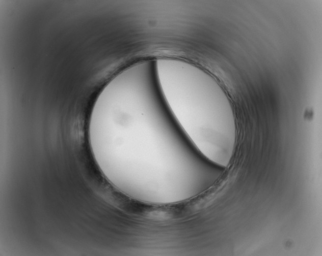 X0000103240358200808281039