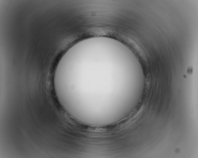 X0000103240359200808281039