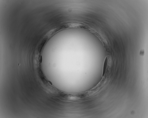 X0000103240360200808281039