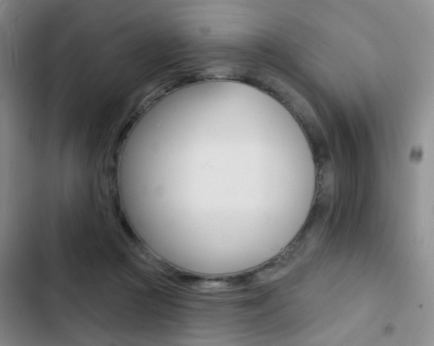 X0000103240361200808281039
