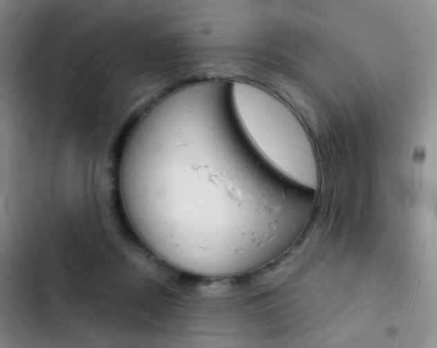 X0000103240362200808281039