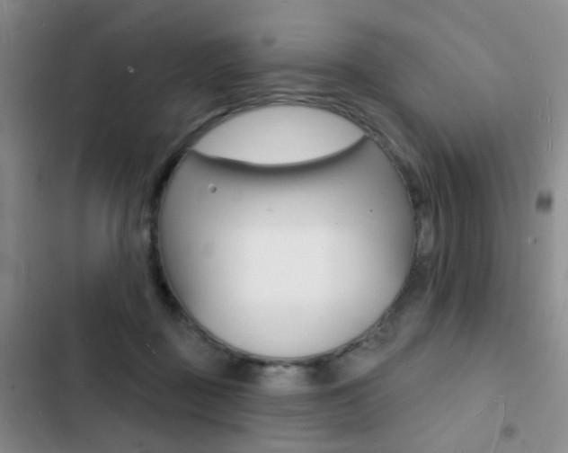 X0000103240363200808281039