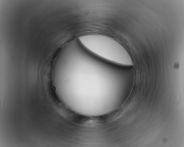 X0000103240364200808281039