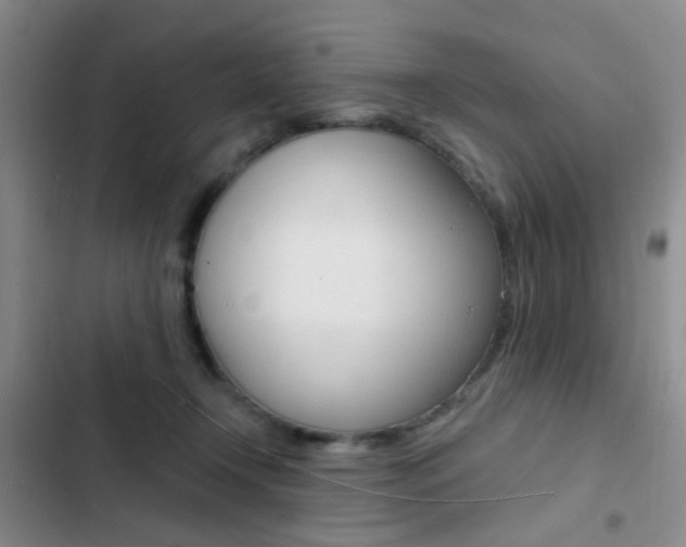 X0000103240366200808281039