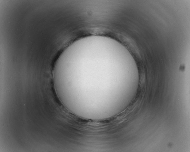 X0000103240367200808281039