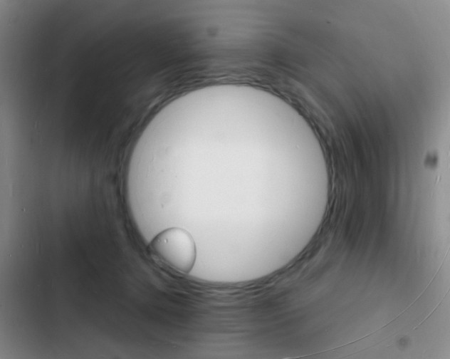 X0000103240368200808281039