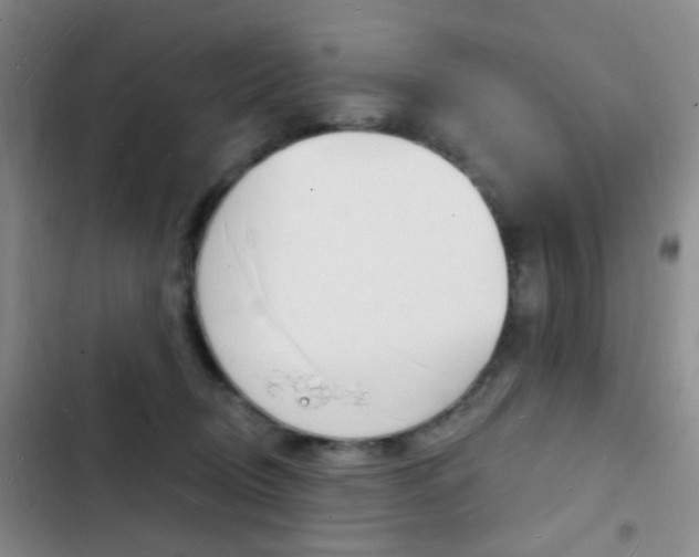 X0000103240370200808281039