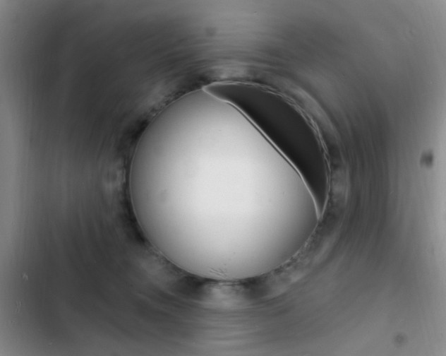 X0000103240372200808281039