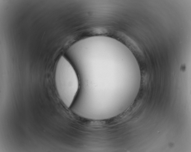 X0000103240373200808281039