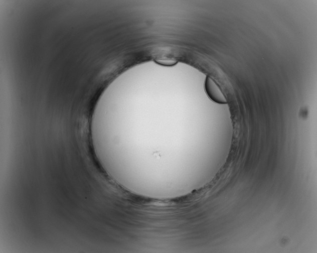 X0000103240375200808281039